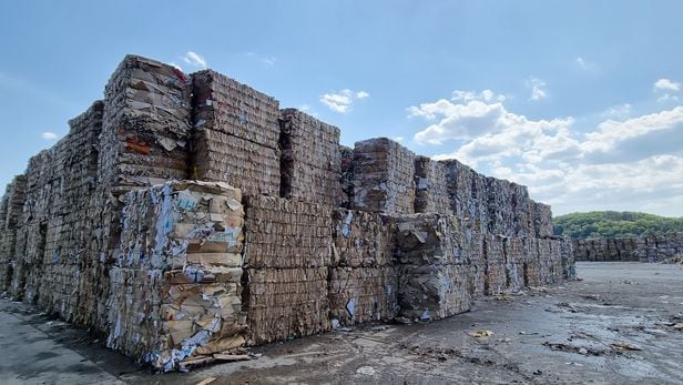 골판지·포장 업체인 아진P&P 대구공장에 폐지 더미가 쌓여있다. 골판지는 100% 폐지를 재활용해 만들어진다. /이은영 기자