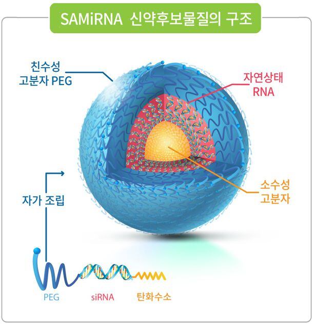 바이오니아 신약후보물질. /바이오니아 제공