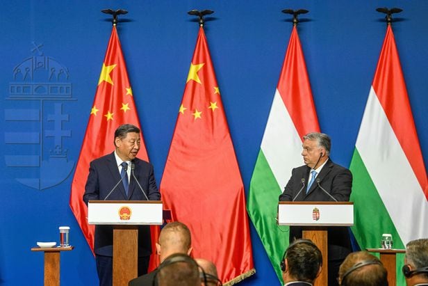 시진핑, 친중 헝가리와 밀착 강화… “中-EU 관계 증진 역할해달라”