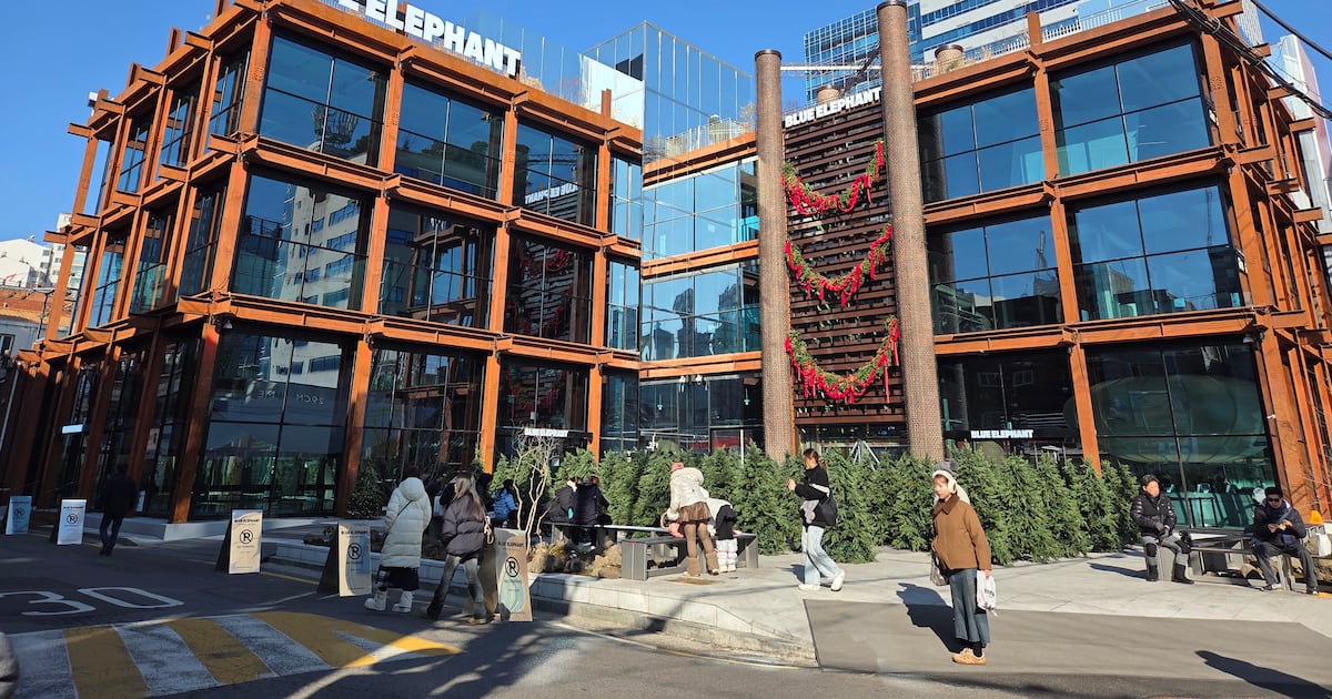 블루엘리펀트 대표 구속 관련 보도 이미지