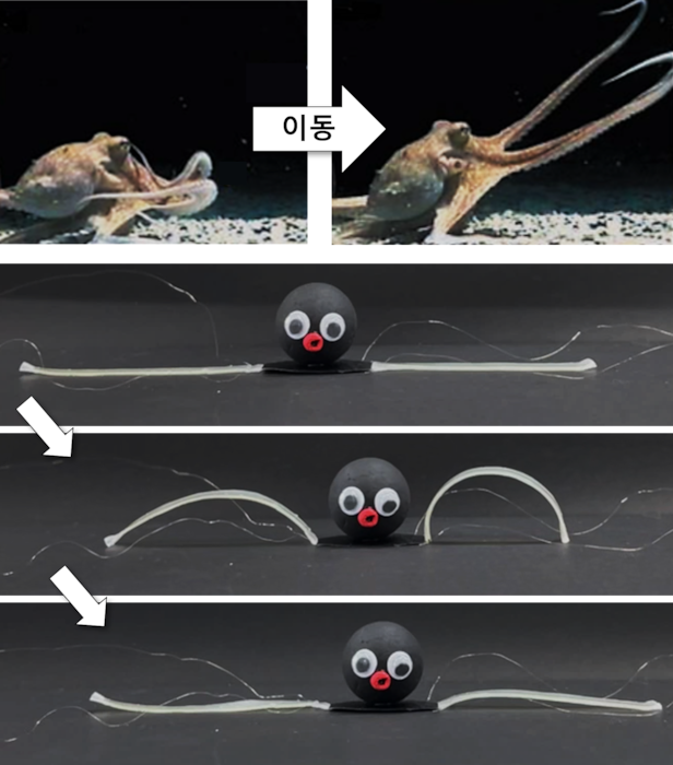 한국과학기술연구원 기능성복합소재연구센터 소속 김대윤 박사 연구팀이 개발한 소프트 로봇 ‘옥토이드’(OCTOID) 설명 자료./KIST