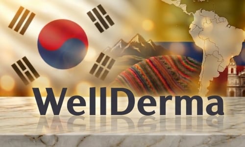 AI를 활용해 제작한 '웰더마' 참고 사진 / 화인특허법률사무소 제공