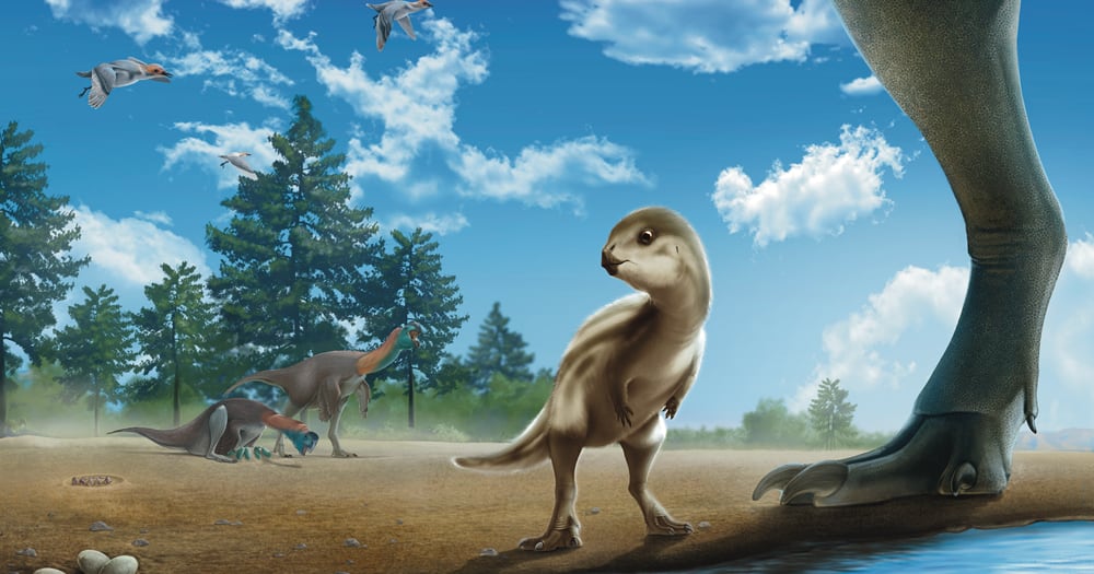 둘리 닮은 공룡 발견 관련 이미지