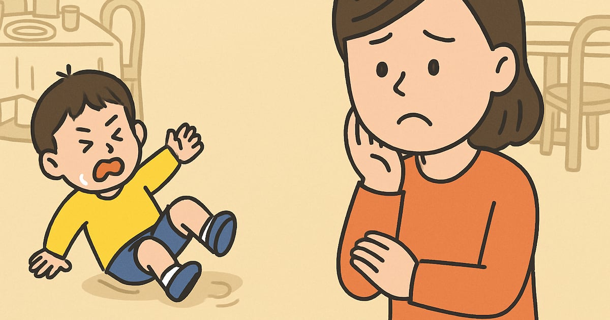 식당서 다쳐 '영배책' 보험금 받으려면... 업주에 알리고 CCTV 확보해야 - 뉴스 썸네일 이미지