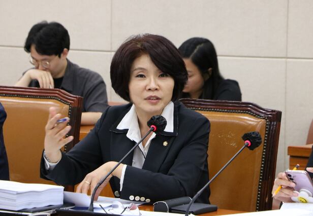 野 한정애, 尹 겨냥한 내란·외환죄 특별사면 방지법 발의 - 조선비즈