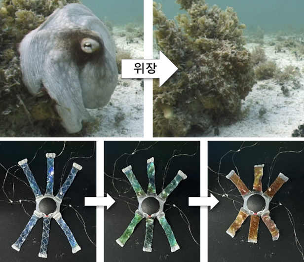 한국과학기술연구원 기능성복합소재연구센터 소속 김대윤 박사 연구팀이 개발한 소프트 로봇 ‘옥토이드’(OCTOID) 설명 자료./KIST