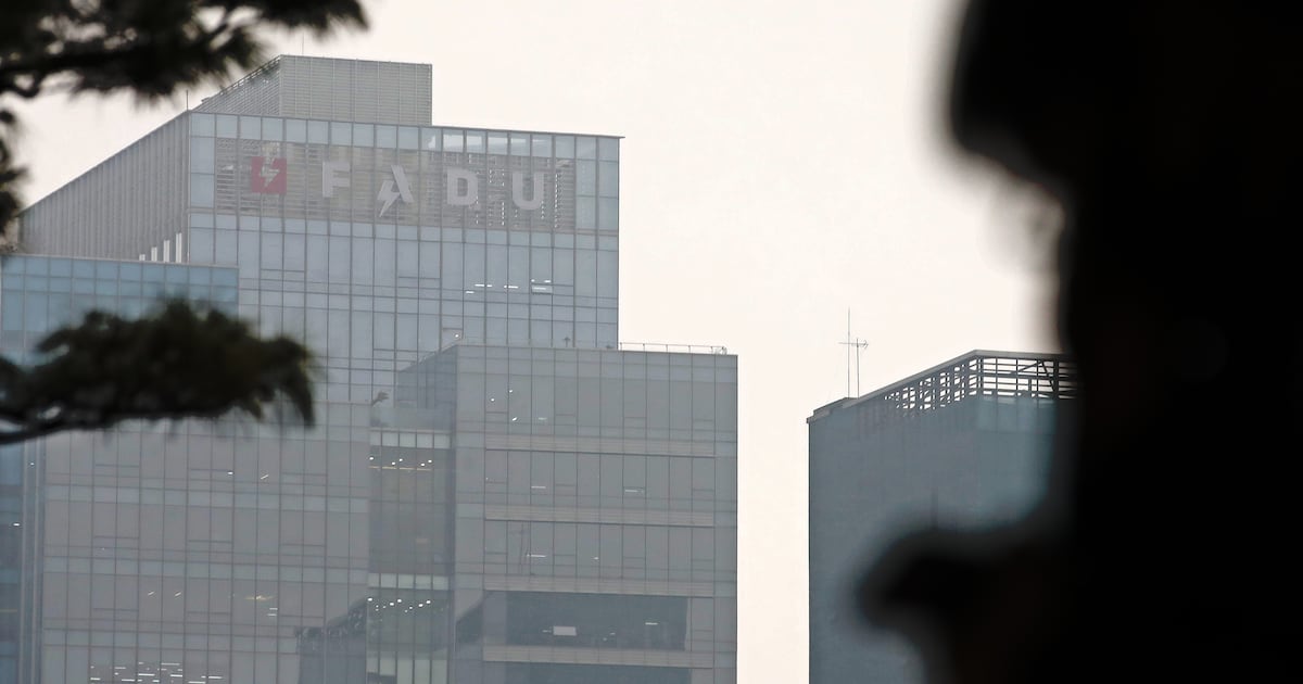 "삼바는 19일 만에 풀더니"... 203억 잿팟 파두, 거래정지 두고 엇갈린... - 뉴스 썸네일 이미지