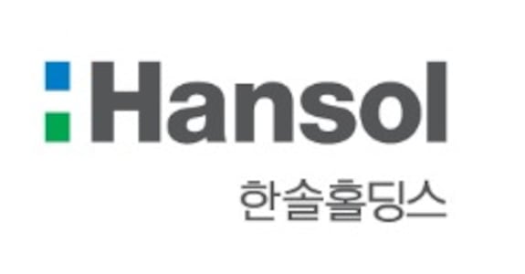 한솔홀딩스, 지난해 영업익 226억...전년比 202% 증가 - 뉴스 썸네일 이미지