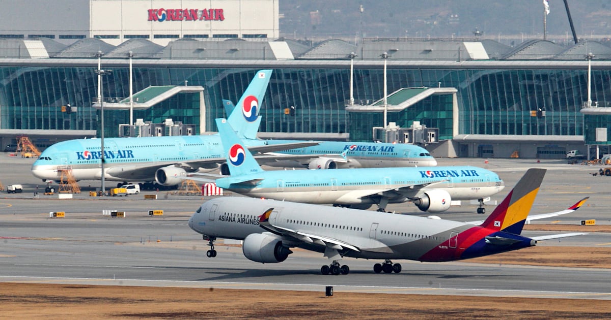 합병 후 아시아나 마일리지 카드는 어떻게... 불리해지는 조건에 속 타는... - 뉴스 썸네일 이미지
