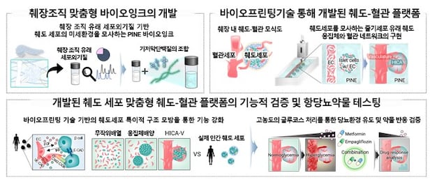 줄기세포에서 유래한 췌도 세포의 성숙을 촉진하는 바이오프린팅 기반 췌도 맞춤형 플랫폼 및 검증 개요도./포항공대