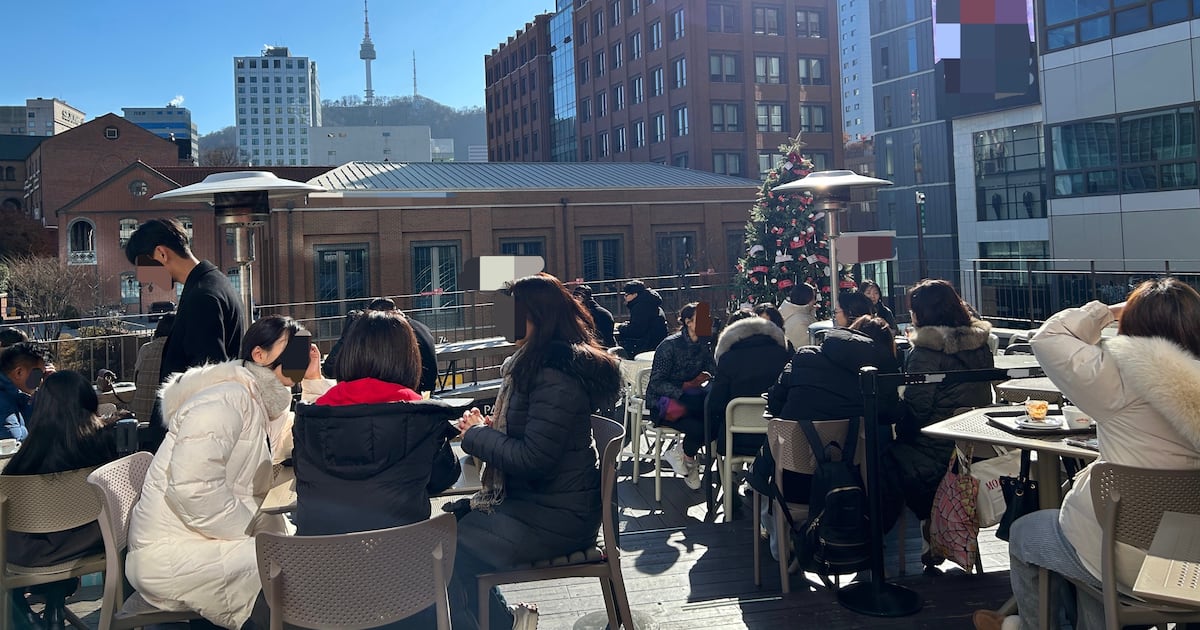 “보리차야 커피야?”… 원두 없는 ‘대체커피’가 온다 - 뉴스 썸네일 이미지