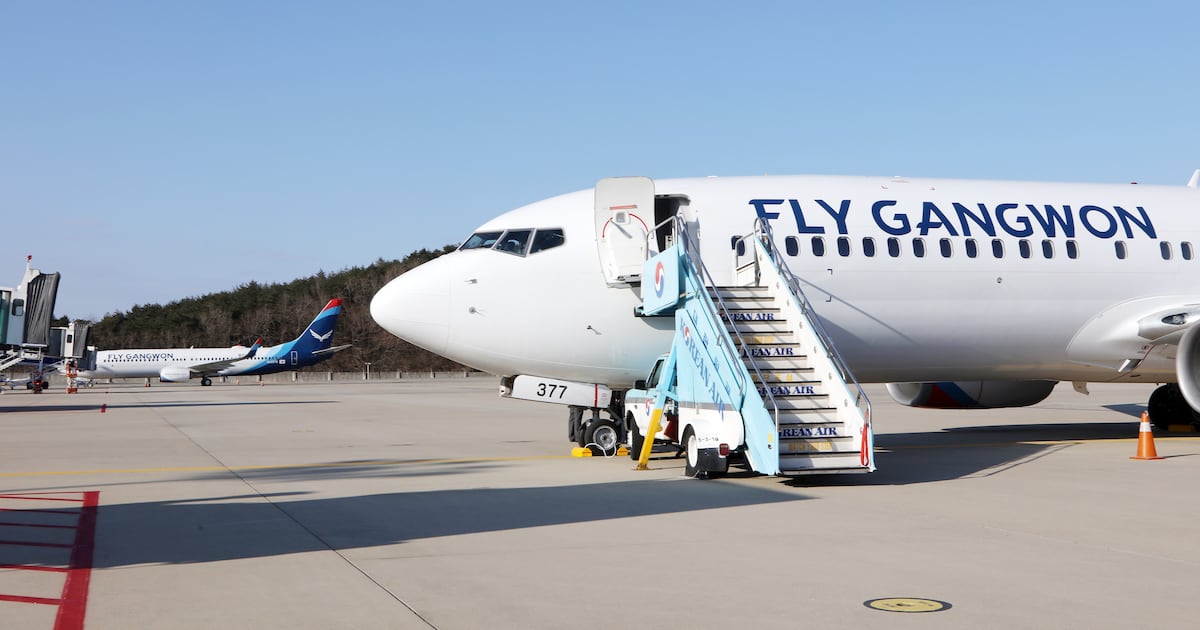 플라이강원 국내 투자자들, 투자금 전액 날렸다... “개인 고객들 피해” - 뉴스 썸네일 이미지