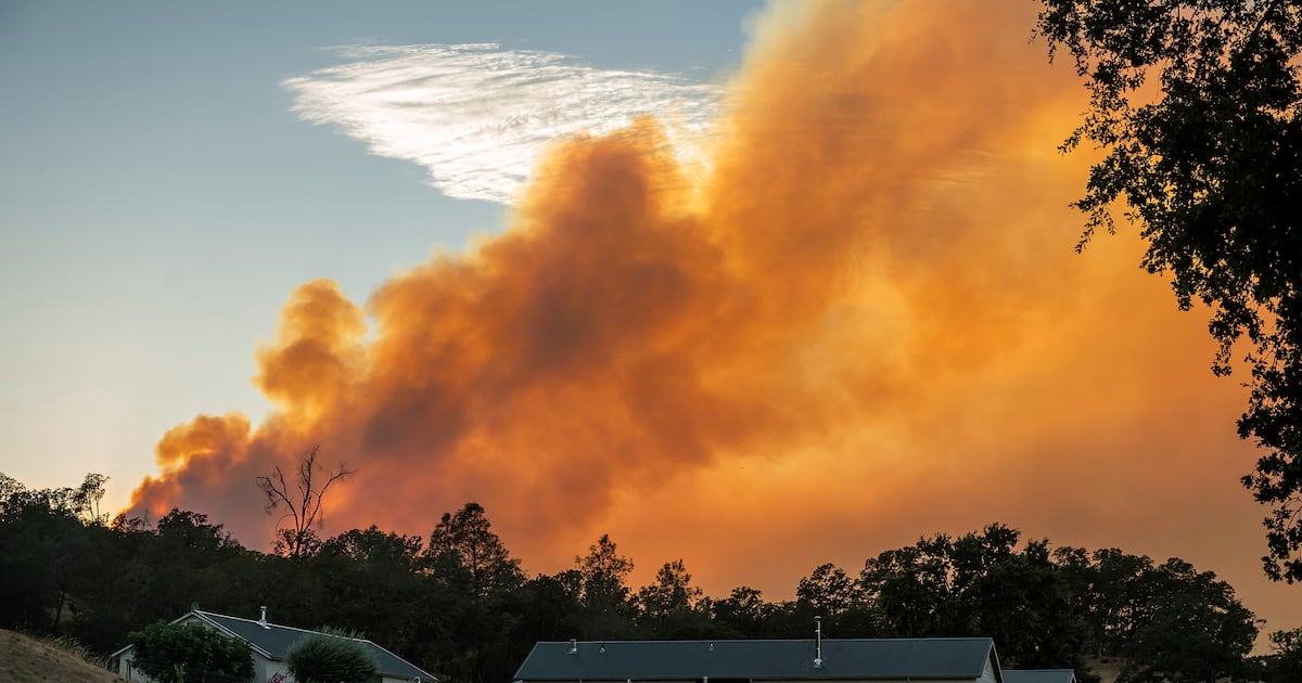 안 팔리고, 불타고, 일손도 없다... '와인제국' 美 캘리포니아, 3중고... - 뉴스 썸네일 이미지