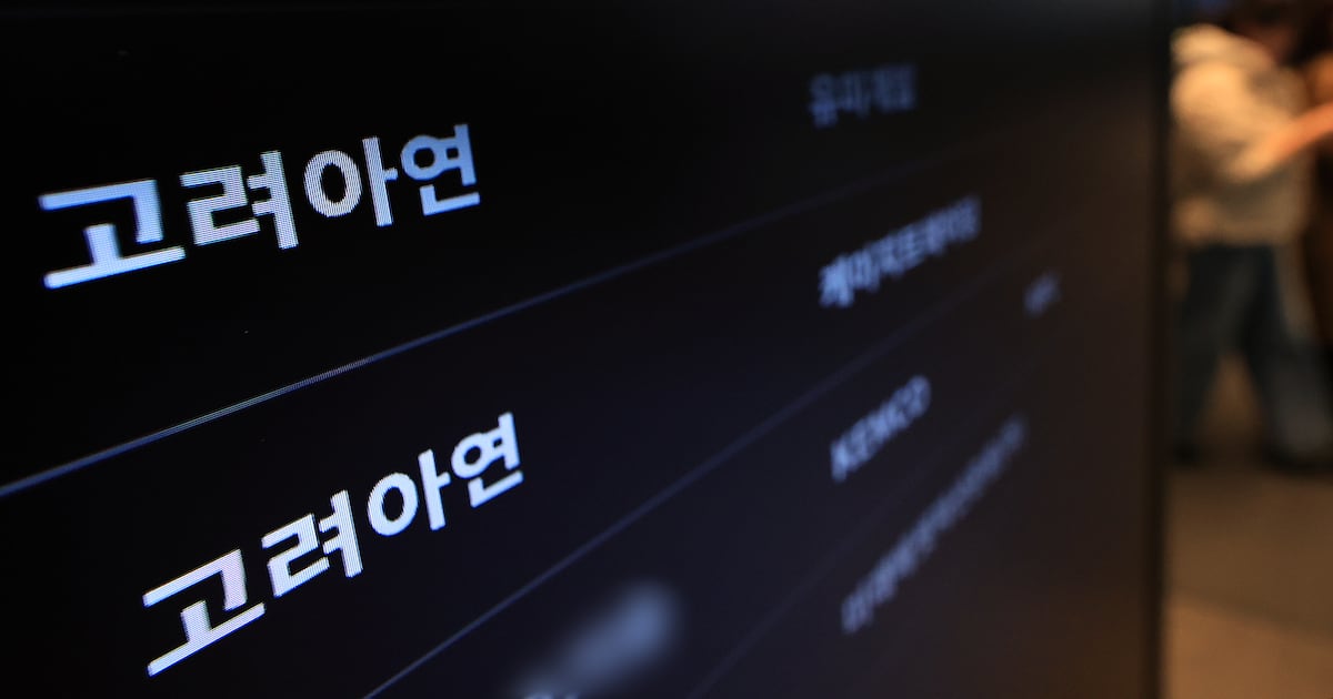 금감원 기업공시국, 고려아연 '차입처 정정공시' 배경 조사 착수 - 뉴스 썸네일 이미지