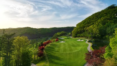 대보그룹, LPGA 투어 대회 개최... “사회공헌도 명품”