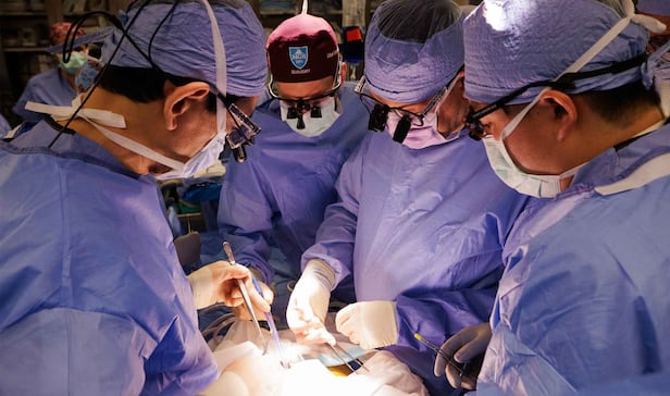 미국 매사추세프 종합병원 의료진이 지난 1월 25일 만성 신장 질환자에게 돼지 신장을 이식하는 모습. 돼지 신장은 환자 몸에서 9개월간 기능을 유지하다 제거됐다./MGH