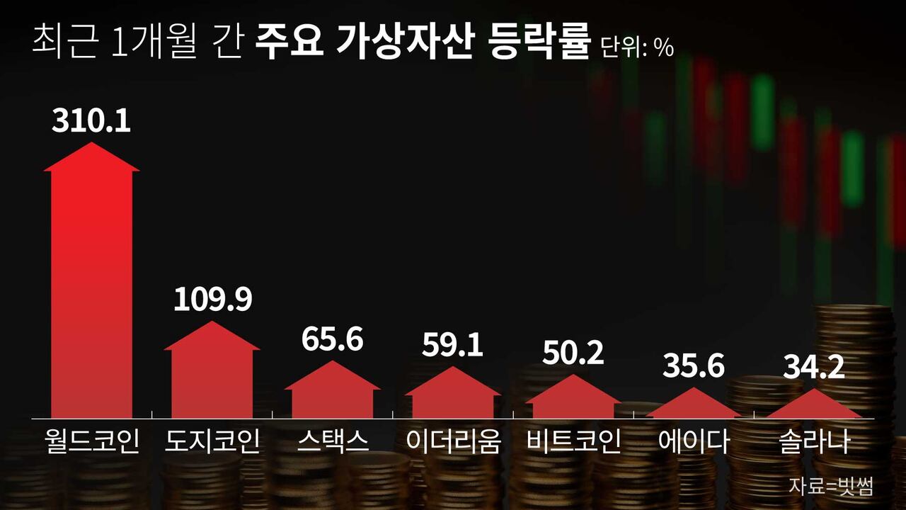 코인 광풍]② 시중자금 빨아들인 비트코인 ETF… 불길은 월드코인, 밈코인으로 - 조선비즈