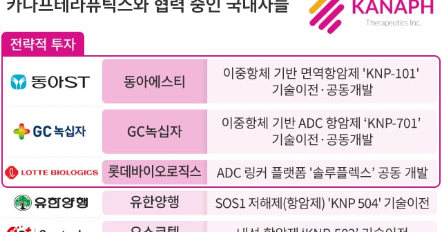 카나프테라퓨틱스 IPO에 웃는 동아·녹십자·롯데...'ADC·이중항체 협력... - 뉴스 썸네일 이미지