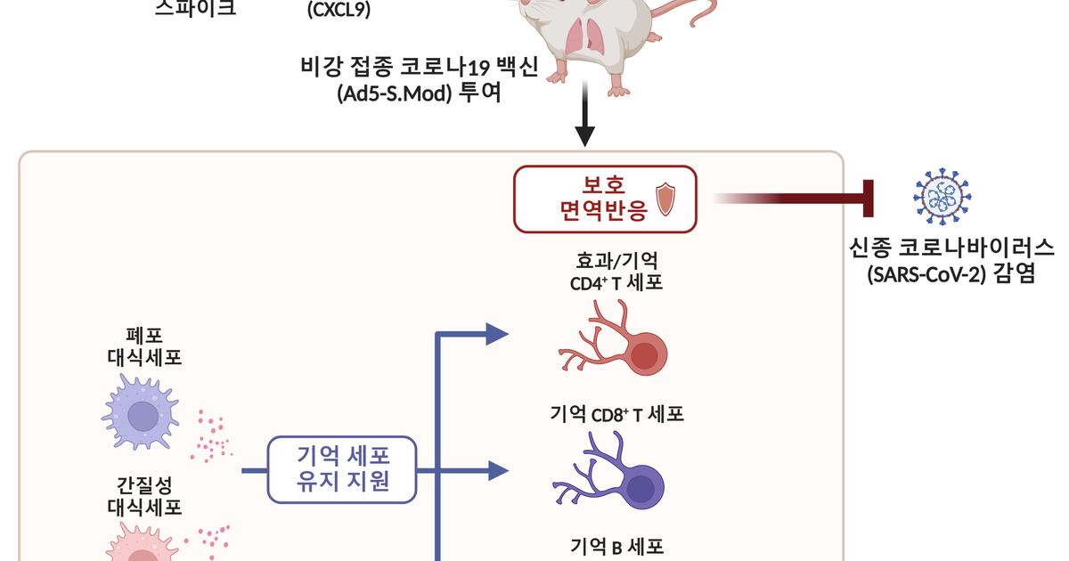 한 번 접종으로 코로나19 막는 비강 백신 나왔다 - 조선비즈