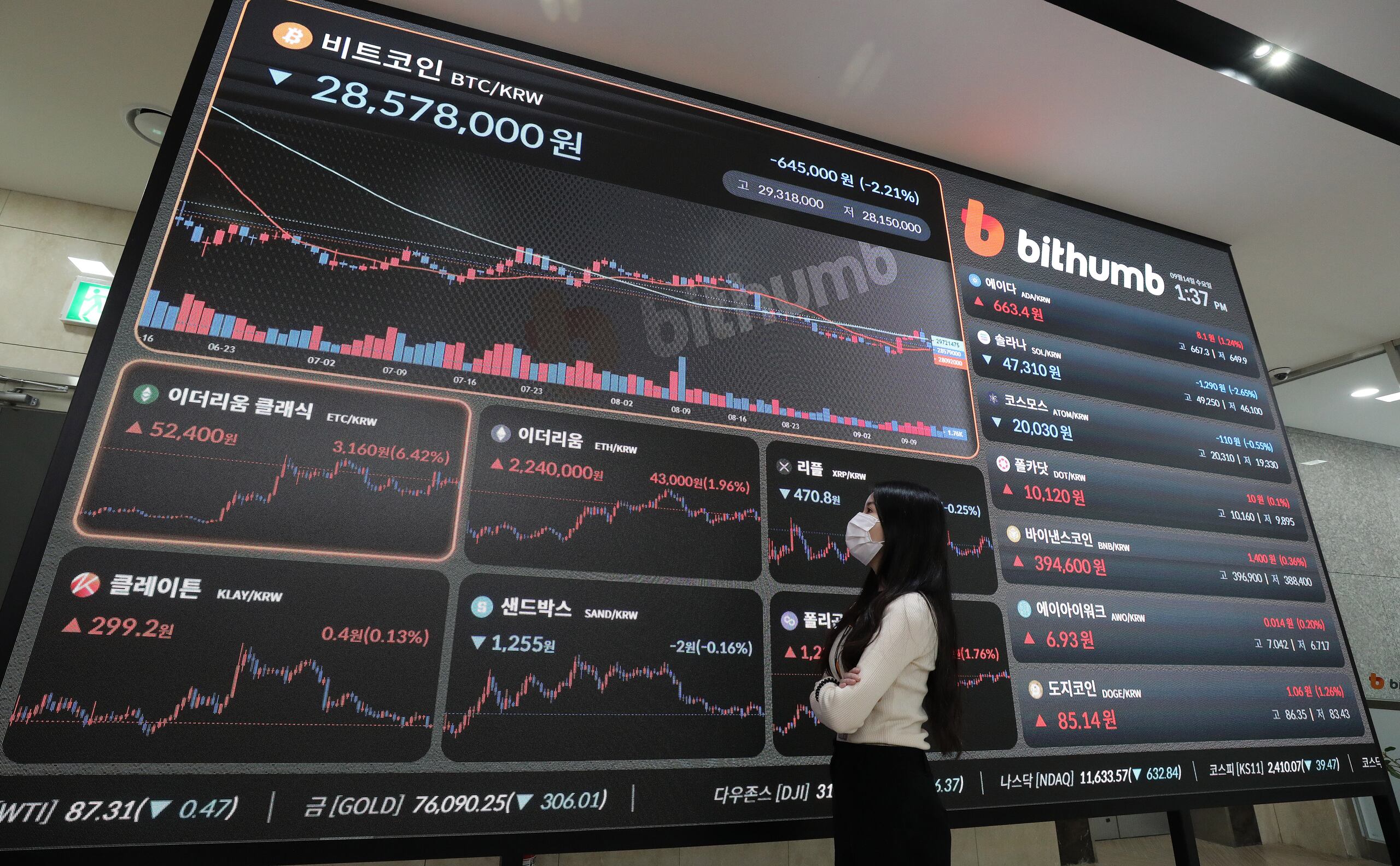 4급 이상 공직자 가상화폐 신고해야…1급 이상은 형성과정·거래내역도 - 조선비즈