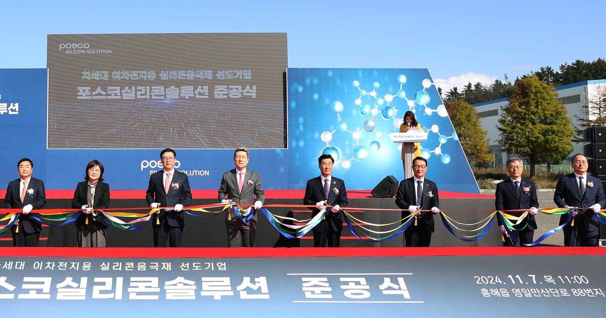 中이 장악한 흑연 음극재, HS효성·포스코, 실리콘으로 도전장 - 조선비즈