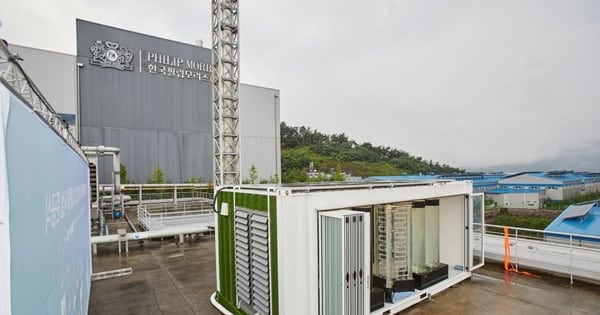 한국필립모리스 양산공장, 미세조류로 탄소를 잡다 - 뉴스 썸네일 이미지