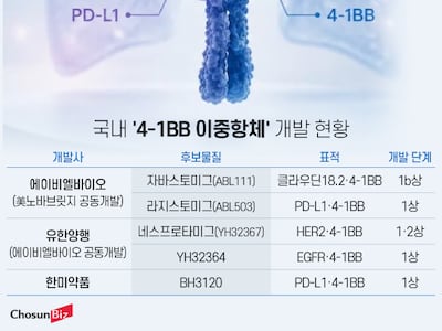 암세포 죽이지만 치명적 부작용… 美 손 뗀 4-1BB, 中이 나선다