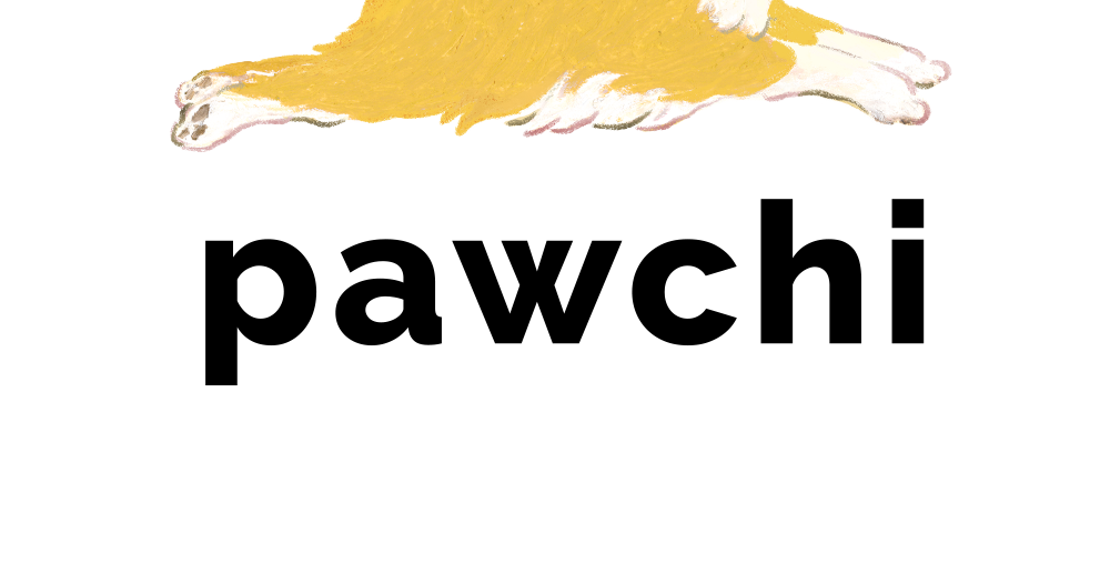 스타트업 파우치, 60억 투자 유치... 국내 첫 펫보험 전문사 설립 목표 - 뉴스 썸네일 이미지