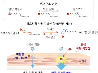 주사 대신 피부로 약물 전달… 지방산 구조서 해법 찾았다