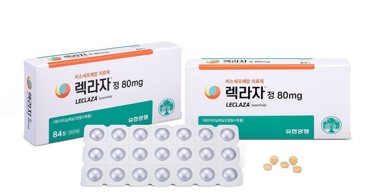 ‘제2 렉라자’ 안 보인다…FDA 도전 잇따라 좌절 - 뉴스 썸네일 이미지