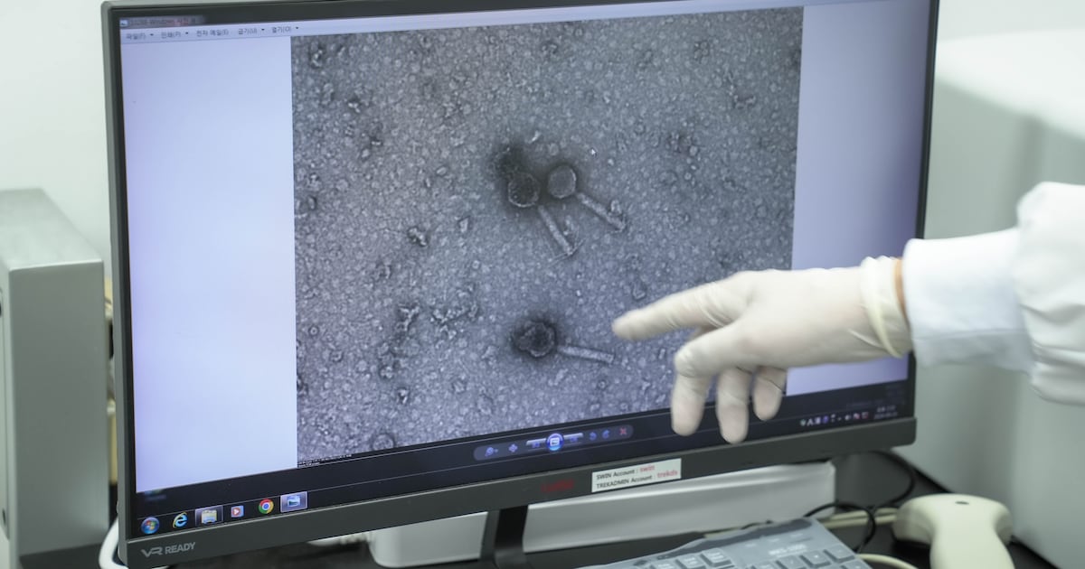 매년 100만명 희생자 내는 항생제 내성균...'K-박테리오파지'가 해결사 - 뉴스 썸네일 이미지