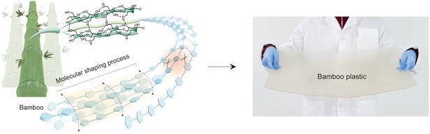 대나무 셀룰로스로 고강도 플라스틱을 만드는 공정./Dawei Zhao