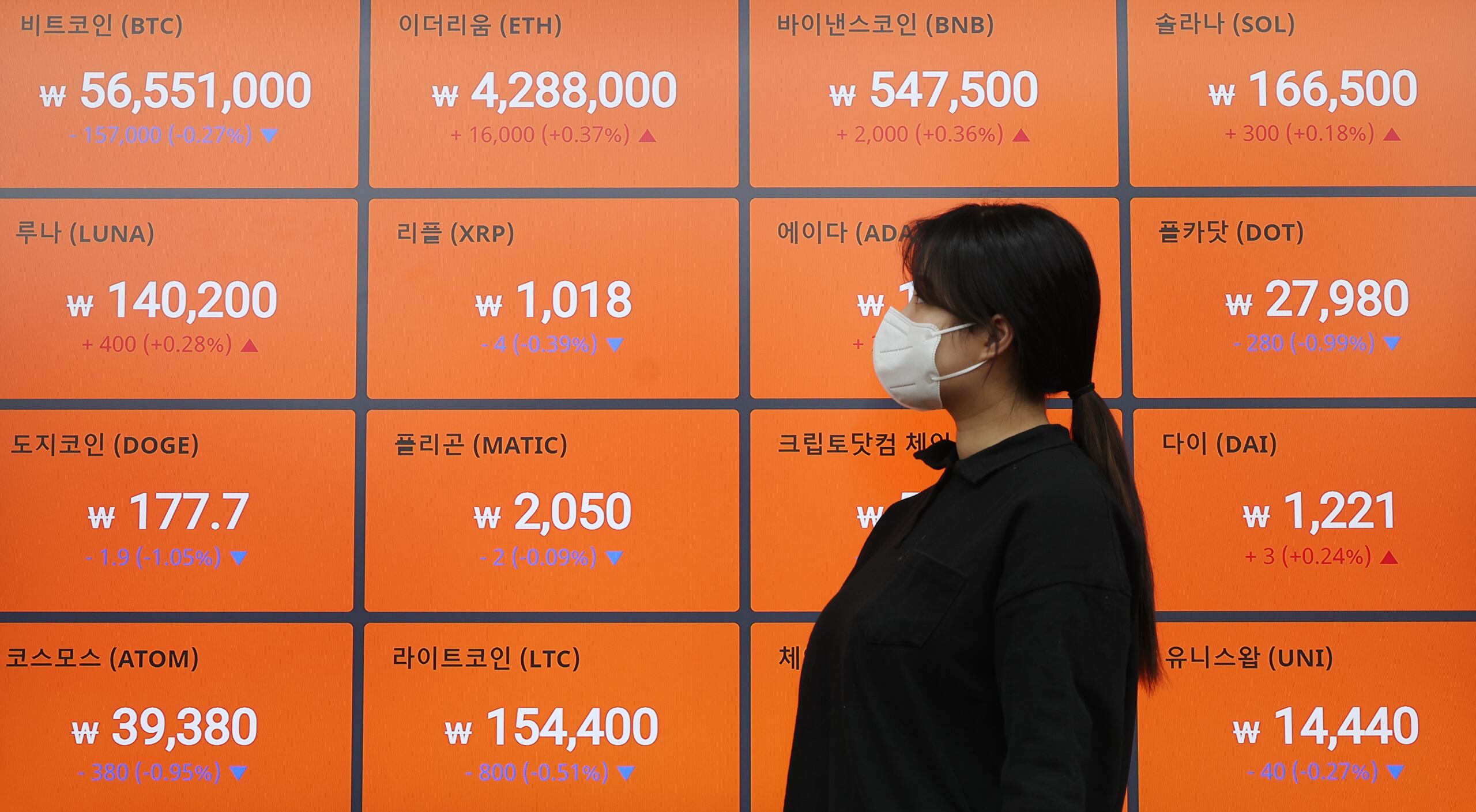 남들 다하는 감사 교육, 자산 5조원대 코인 거래소는 면제? - 조선비즈