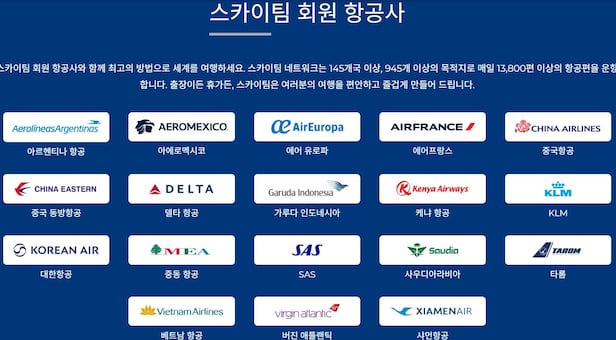 스카이팀 회원사 /스카이팀 홈페이지 캡처