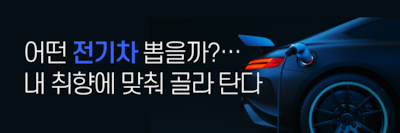 나만의 전기차