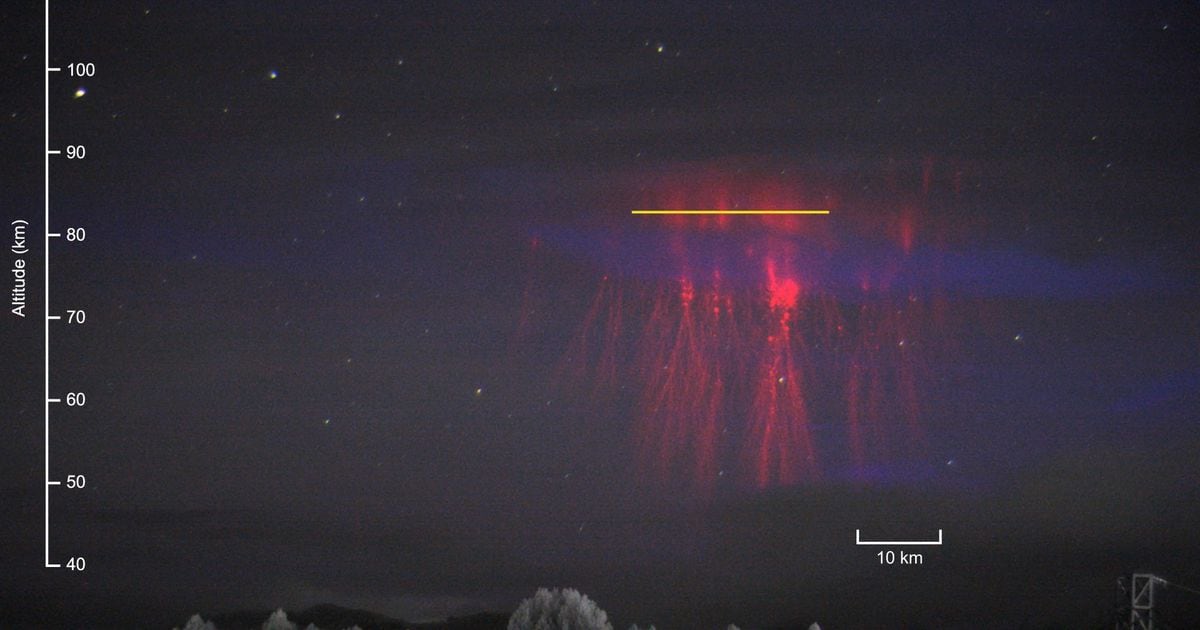 Discovering the Giant Lightning Jellyfish Sprite and the Mysterious Mesospheric Ghost